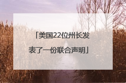 美国22位州长发表了一份联合声明