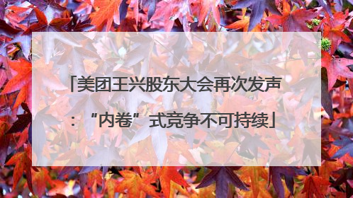 美团王兴股东大会再次发声：“内卷”式竞争不可持续