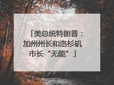 美总统特朗普：加州州长和洛杉矶市长“无能”