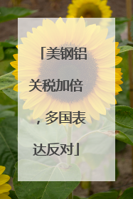 美钢铝关税加倍，多国表达反对