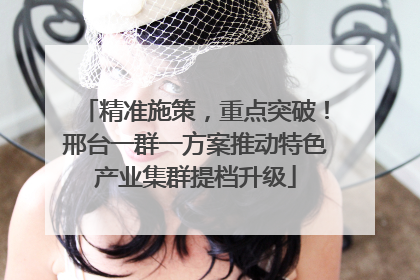 精准施策，重点突破！邢台一群一方案推动特色产业集群提档升级