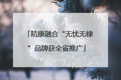 精康融合“无忧无棣”品牌获全省推广