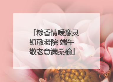 粽香情暖豫灵镇敬老院 端午敬老意满桑榆