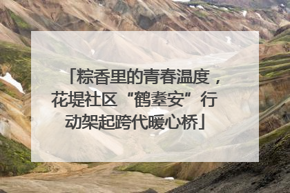 粽香里的青春温度，花堤社区“鹤耋安”行动架起跨代暖心桥