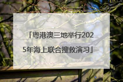 粤港澳三地举行2025年海上联合搜救演习