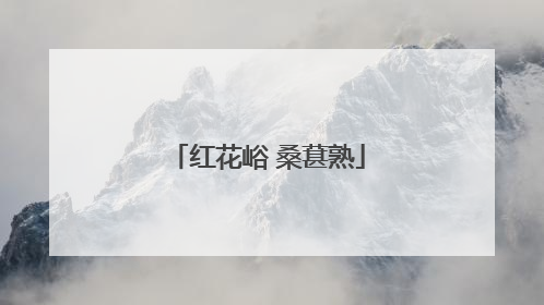 红花峪 桑葚熟