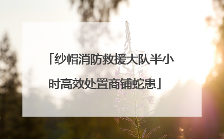 纱帽消防救援大队半小时高效处置商铺蛇患