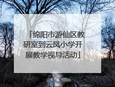 绵阳市游仙区教研室到云凤小学开展教学视导活动