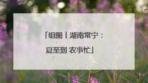 组图丨湖南常宁：夏至到 农事忙