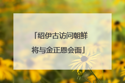 绍伊古访问朝鲜 将与金正恩会面