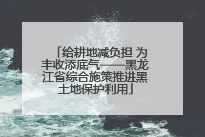 给耕地减负担 为丰收添底气——黑龙江省综合施策推进黑土地保护利用