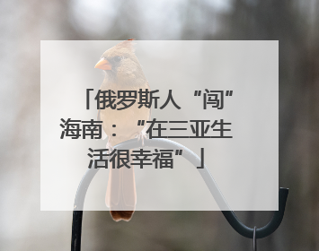 俄罗斯人“闯”海南：“在三亚生活很幸福”
