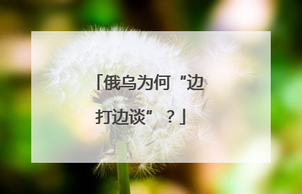 俄乌为何“边打边谈”？