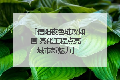信阳夜色璀璨如画 亮化工程点亮城市新魅力