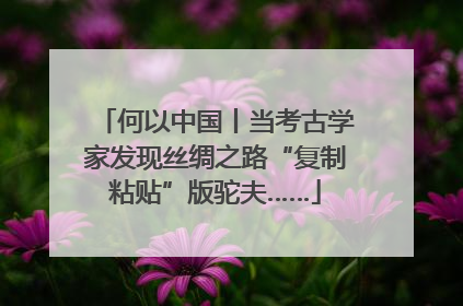 何以中国丨当考古学家发现丝绸之路“复制粘贴”版驼夫……