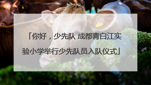 你好，少先队 成都青白江实验小学举行少先队员入队仪式