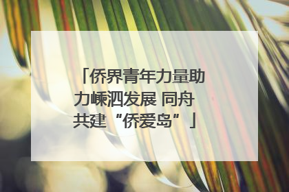 侨界青年力量助力嵊泗发展 同舟共建“侨爱岛”