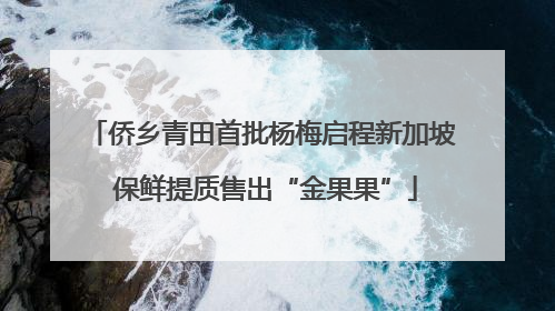 侨乡青田首批杨梅启程新加坡 保鲜提质售出“金果果”