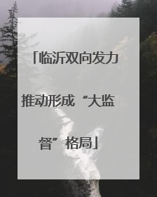 临沂双向发力推动形成“大监督”格局