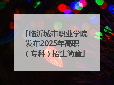 临沂城市职业学院发布2025年高职（专科）招生简章
