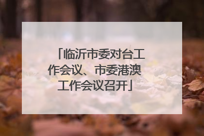 临沂市委对台工作会议、市委港澳工作会议召开