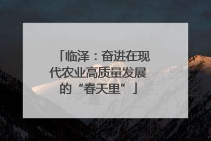 临泽：奋进在现代农业高质量发展的“春天里”