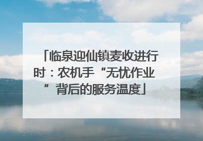 临泉迎仙镇麦收进行时：农机手“无忧作业”背后的服务温度