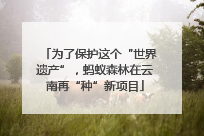 为了保护这个“世界遗产”，蚂蚁森林在云南再“种”新项目