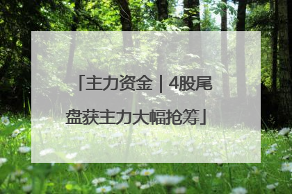 主力资金｜4股尾盘获主力大幅抢筹