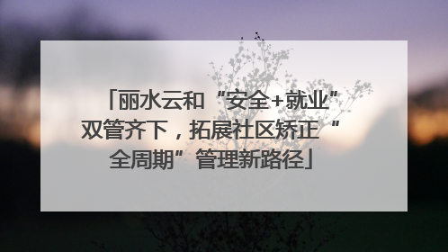 丽水云和“安全+就业”双管齐下，拓展社区矫正“全周期”管理新路径