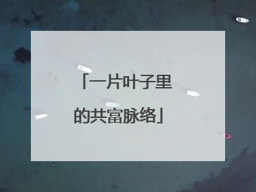 一片叶子里的共富脉络