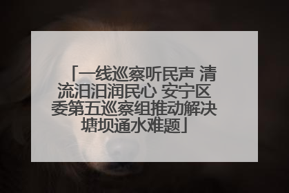 一线巡察听民声 清流汨汨润民心 安宁区委第五巡察组推动解决塘坝通水难题