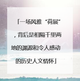 一场风雅“荷展”，背后是相隔千里两地的渊源和令人感动的历史人文情怀