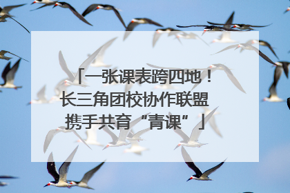 一张课表跨四地！长三角团校协作联盟携手共育“青课”