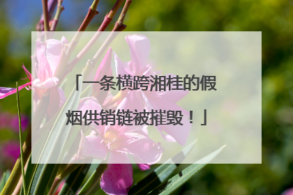 一条横跨湘桂的假烟供销链被摧毁！