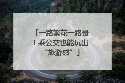 一路繁花一路景！乘公交也能玩出“旅游感”