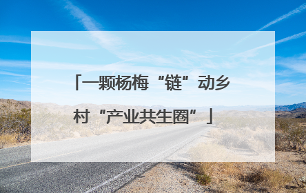 一颗杨梅“链”动乡村“产业共生圈”