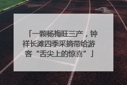 一颗杨梅旺三产，钟祥长滩四季采摘带给游客“舌尖上的惊喜”
