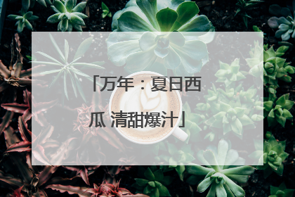 万年：夏日西瓜 清甜爆汁