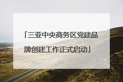 三亚中央商务区党建品牌创建工作正式启动