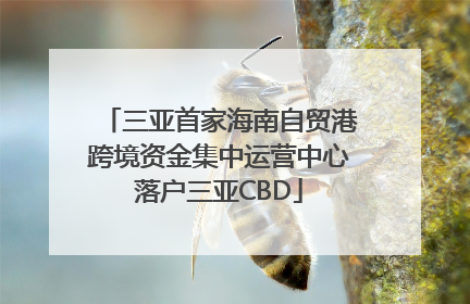 三亚首家海南自贸港跨境资金集中运营中心落户三亚CBD