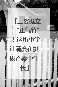 三姿挺立“正气竹”！这所小学让清廉在挺拔脊梁中生长