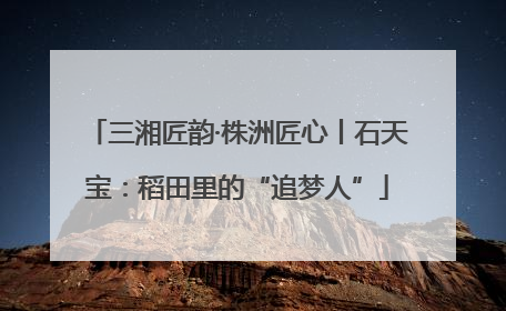 三湘匠韵·株洲匠心丨石天宝：稻田里的“追梦人”
