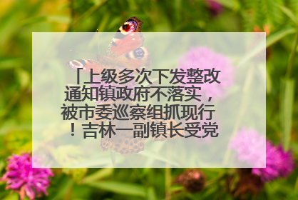 上级多次下发整改通知镇政府不落实，被市委巡察组抓现行！吉林一副镇长受党内警告处分