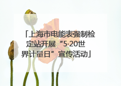 上海市电能表强制检定站开展“5·20世界计量日”宣传活动
