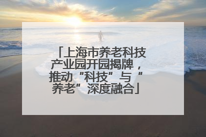 上海市养老科技产业园开园揭牌，推动“科技”与“养老”深度融合