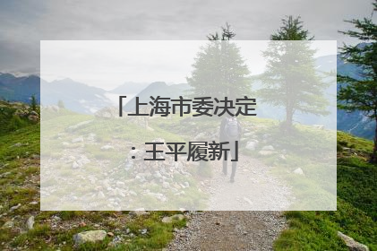 上海市委决定：王平履新