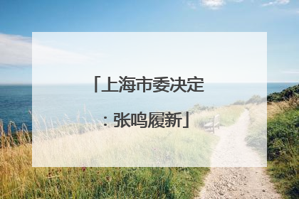 上海市委决定：张鸣履新