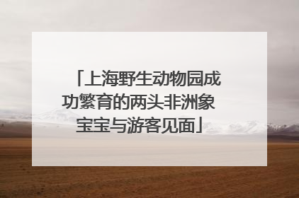 上海野生动物园成功繁育的两头非洲象宝宝与游客见面