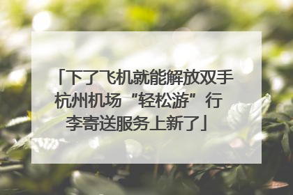 下了飞机就能解放双手 杭州机场“轻松游”行李寄送服务上新了